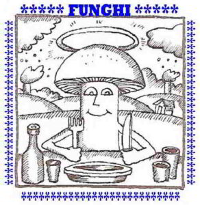 00-Enciclopedia-funghi