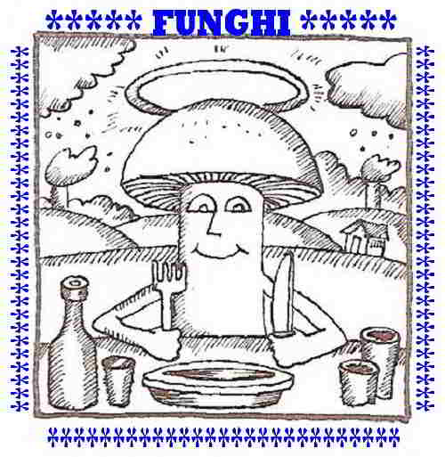 00-Enciclopedia-funghi