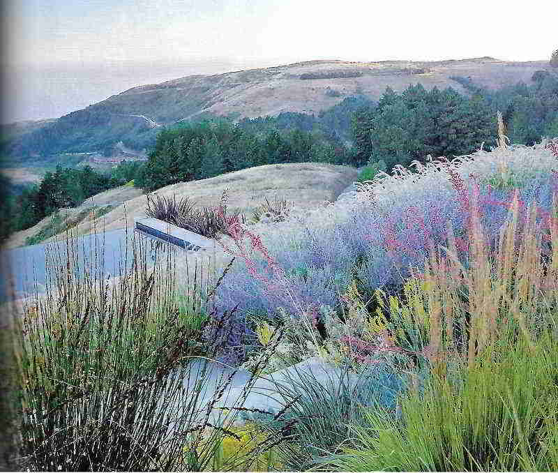 Shades of Green, On The Edge Of The Continent, Sausalito, California. Foto Marion Brenner.